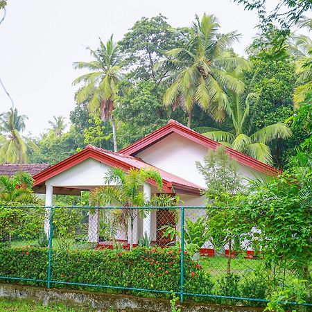 Villa Ravichini Polonnaruwa Eksteriør billede